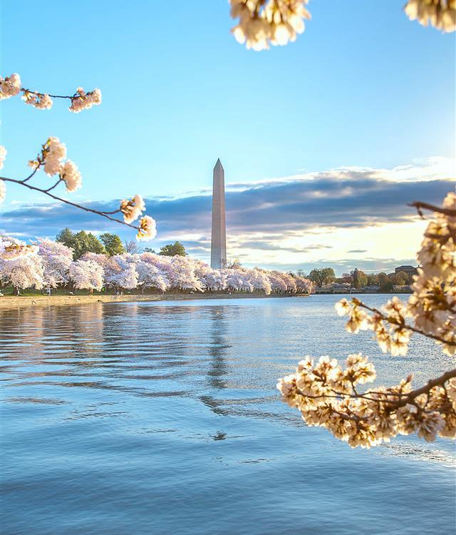 views of the washington monument